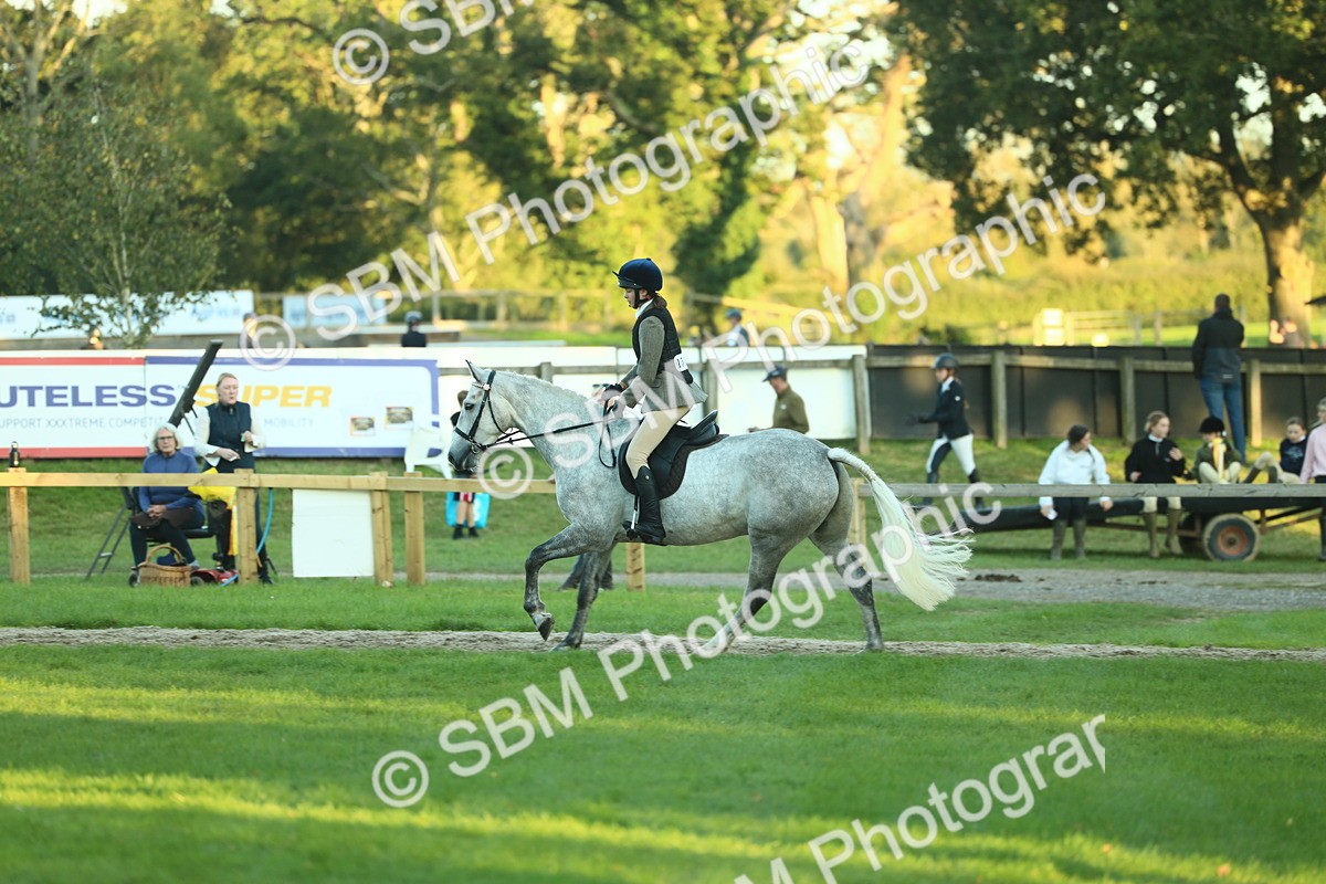 SBM_56482 - S14 - Riding Club Horse