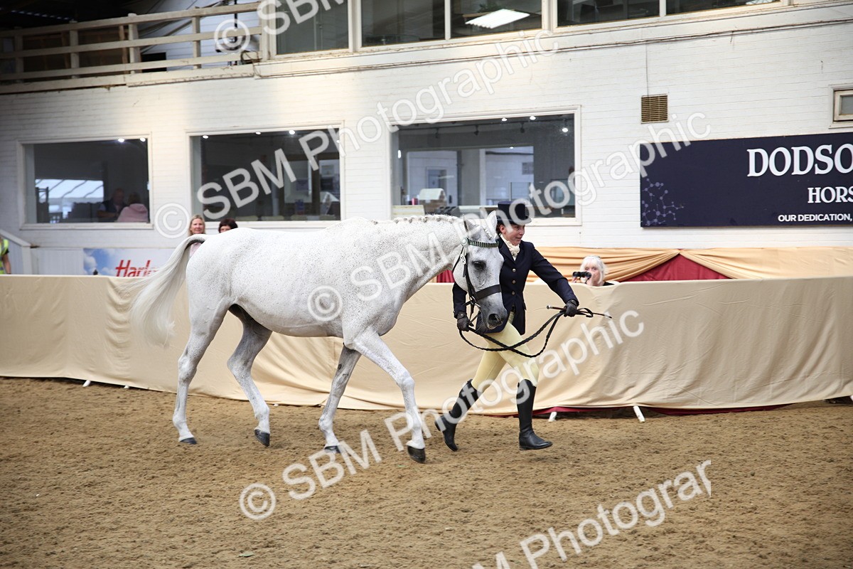 SBM_24255 - Class 905 - Supreme Final - Ridden Veteran