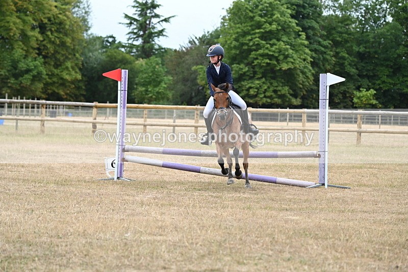 WJ6_0360 - Class 13 Novice Jumping 60cm