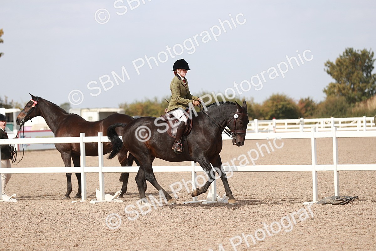 SBM_14835 - Class 212 Ridden Hunter - Small