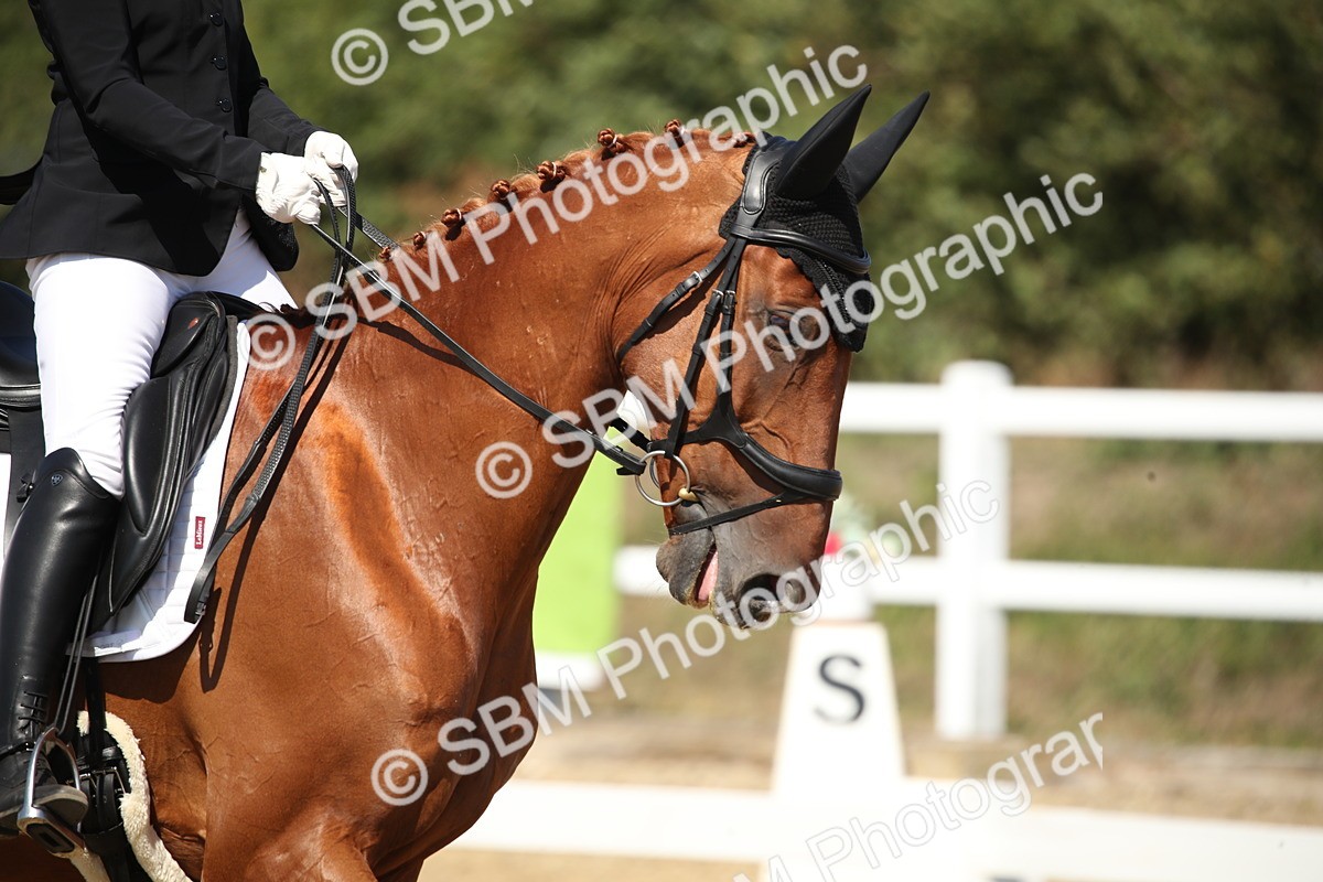 SBM_005118 - Class 11 - Novice 5 - 11.41-12.58