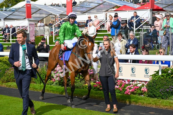 240824-Race 3-Breege-0639 - Race 3 3.00pm Sky Bet City Of York Stakes