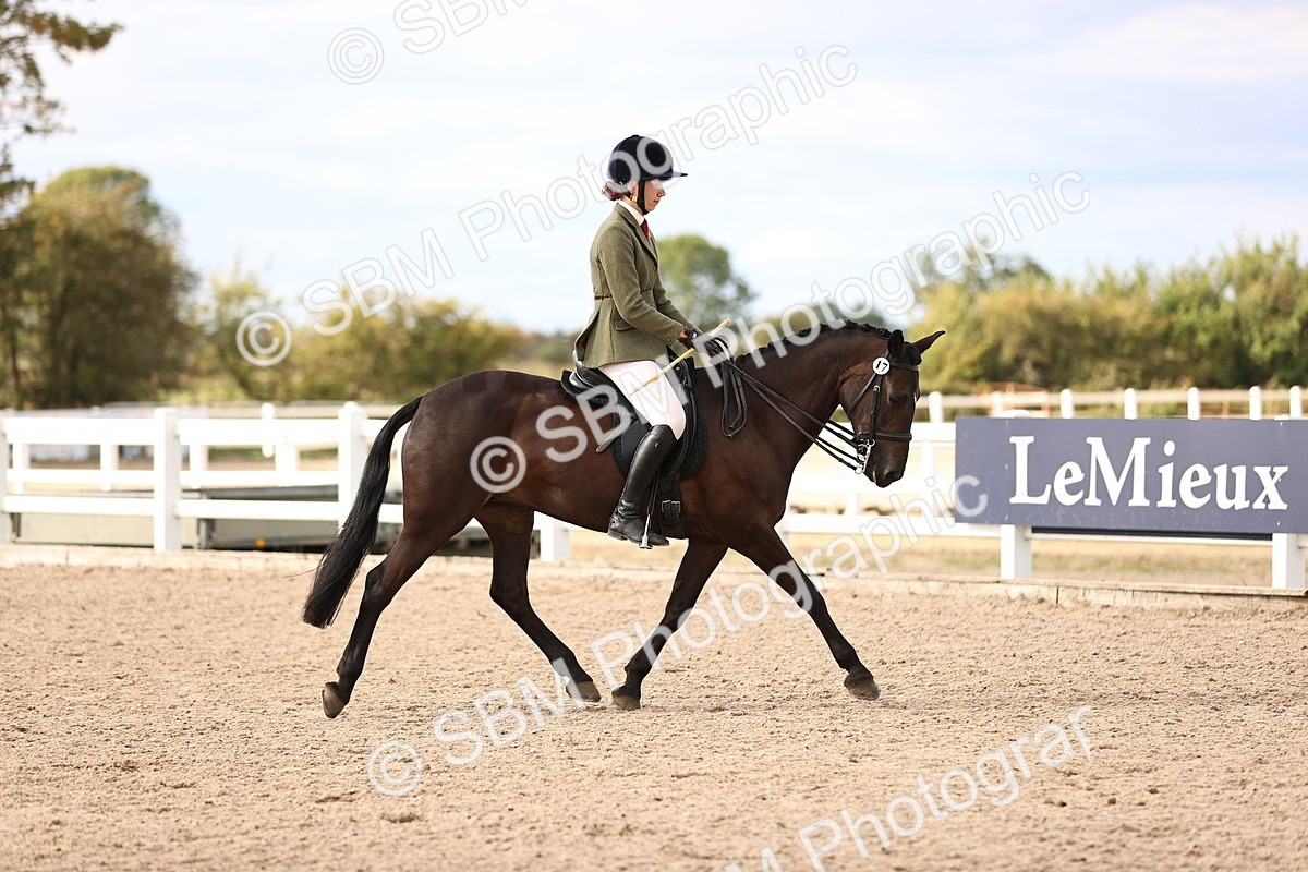 SBM_18144 - Class 423 - Equitation (best rider) Adult