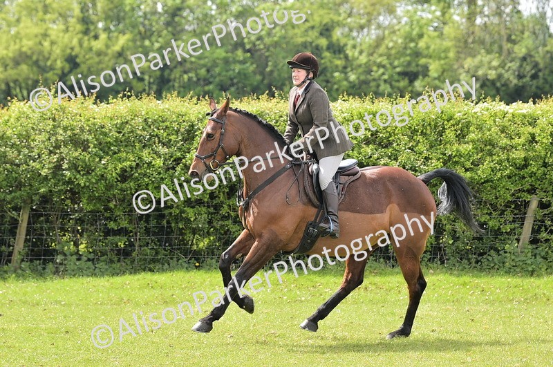 20260426-3702 - Class 22 - Working Hunter