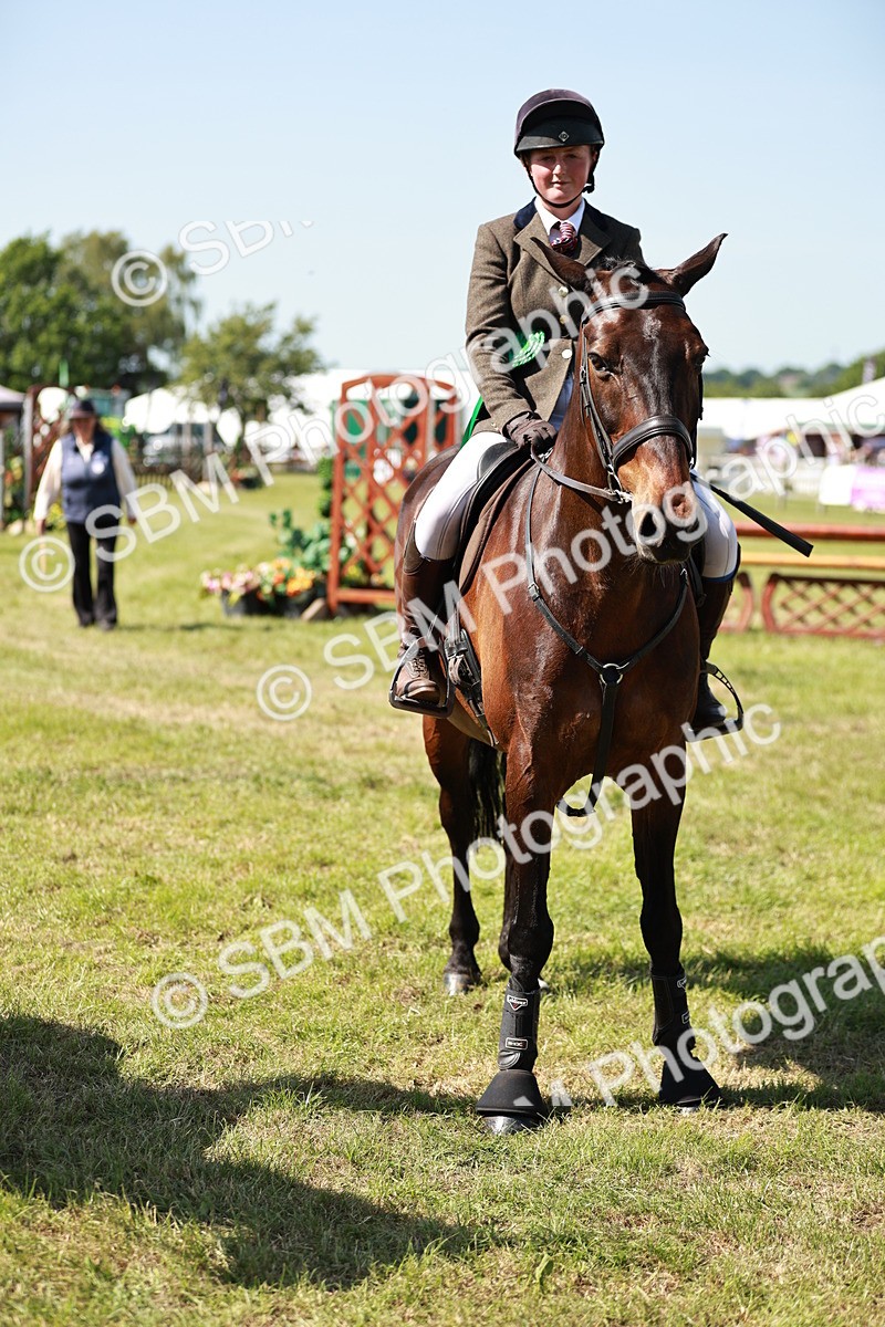 SBM_18473 - Class 112-113 - BSPS LIHS Working Sports Pony