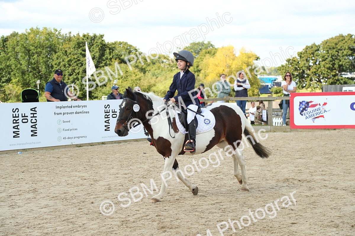 SBM_41549 - J6 - Junior Pony 55cm Championships