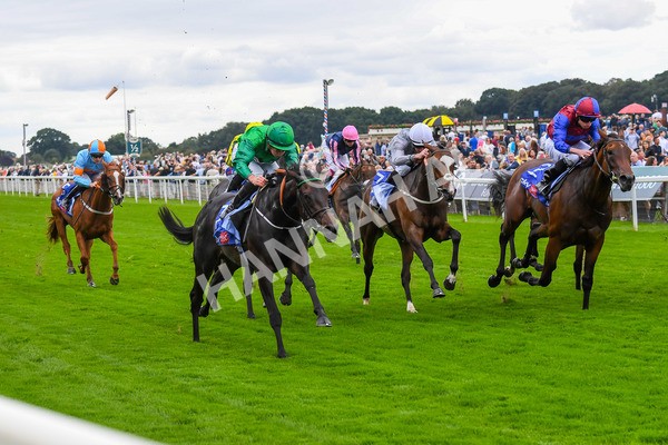 240823-Race 1-Relief Rally-0076 - Race 1 1.50pm Sky Bet Lowther Stakes
