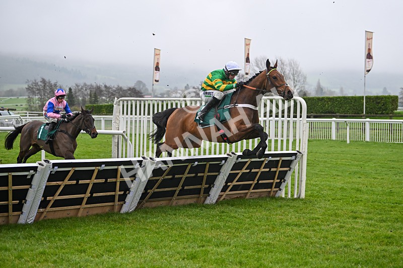 131224-Race 1-Thats Nice-8554 - Race 1