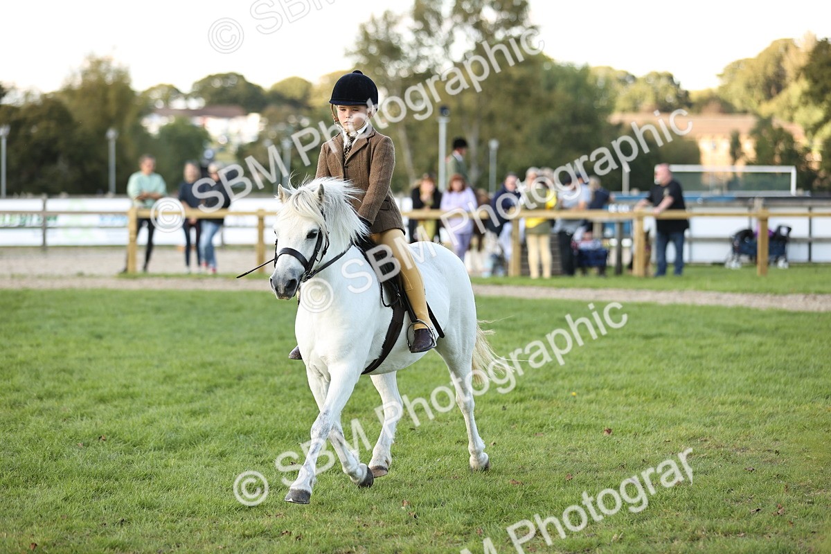 SBM_29473 - S7 - Novice & Newcomers Ridden Pony