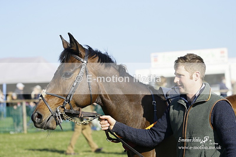 PtP 190322 632 - Wilton Hunt PtP Milborne St Andrew 19/03/22
