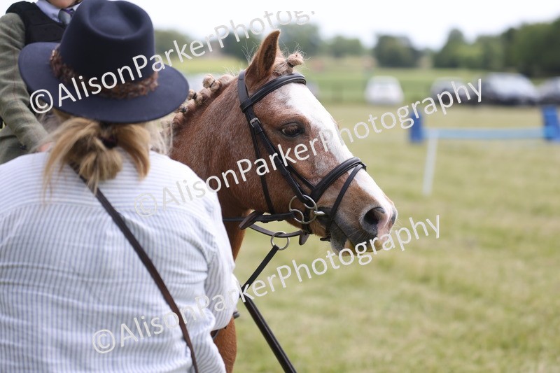 20260614-2060 - Class 21 - Novice Working Hunter Pony