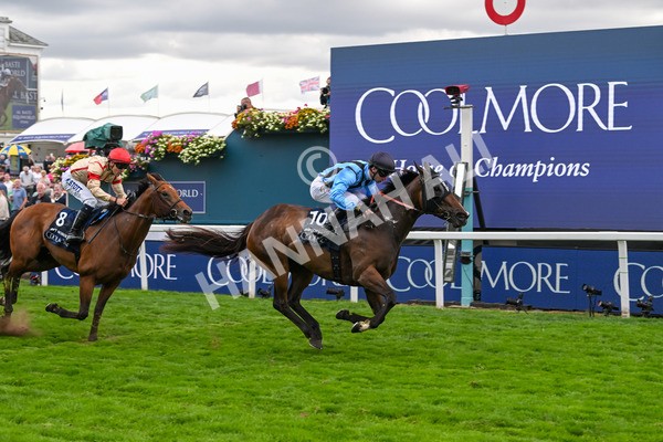 220825-Race 4-Asfoora-7539 - Race 4 3.35pm Coolmore Wootton Bassett Nunthorpe Stakes