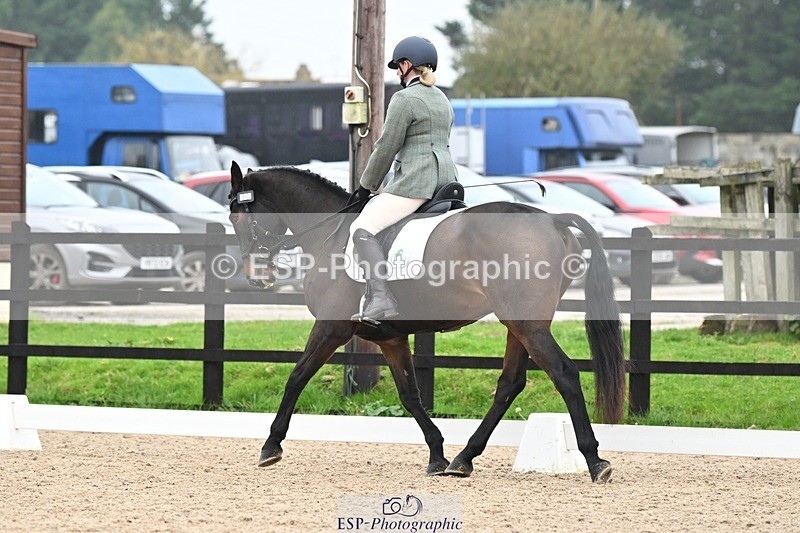 241103-113244-00534 - Intro 3 - 10.50 to 11.44