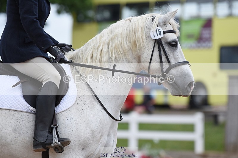 230701A-101632-04308 - Cls 2 Intro B