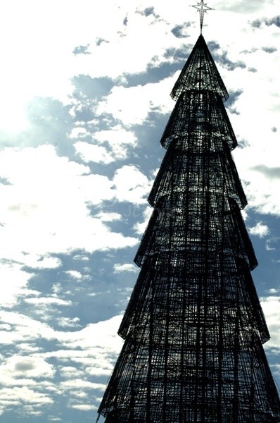 Straight - Oh Xmas Tree