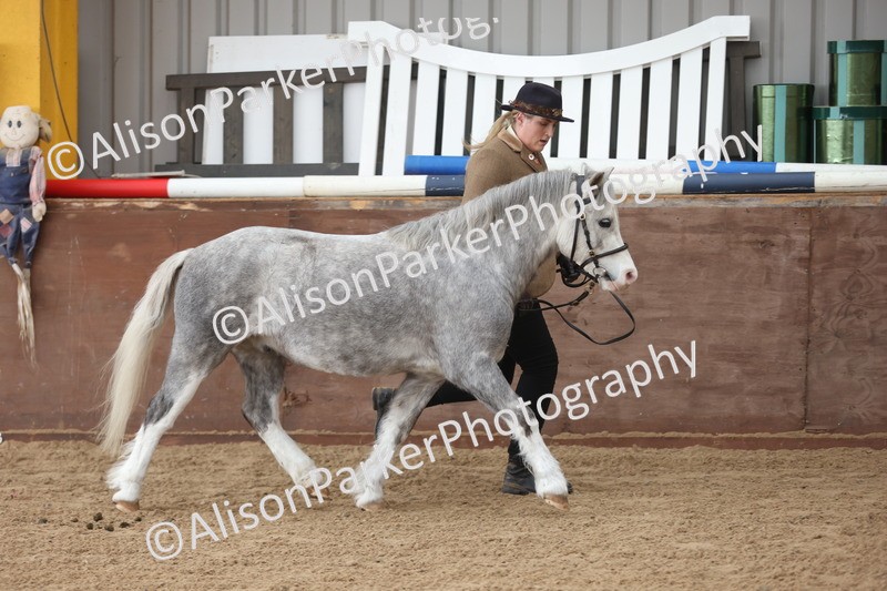 20251109-0692 - Class 22 - Geldings 4 Years and over