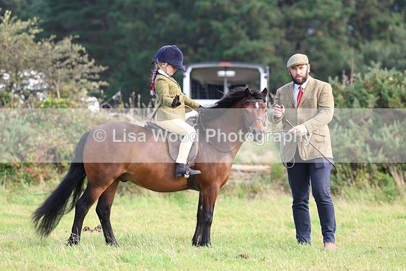 3E7A3564 - Class 2: Lead rein