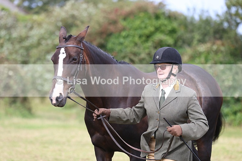 3E7A5559 - Class 20: Sports Horse In Hand
