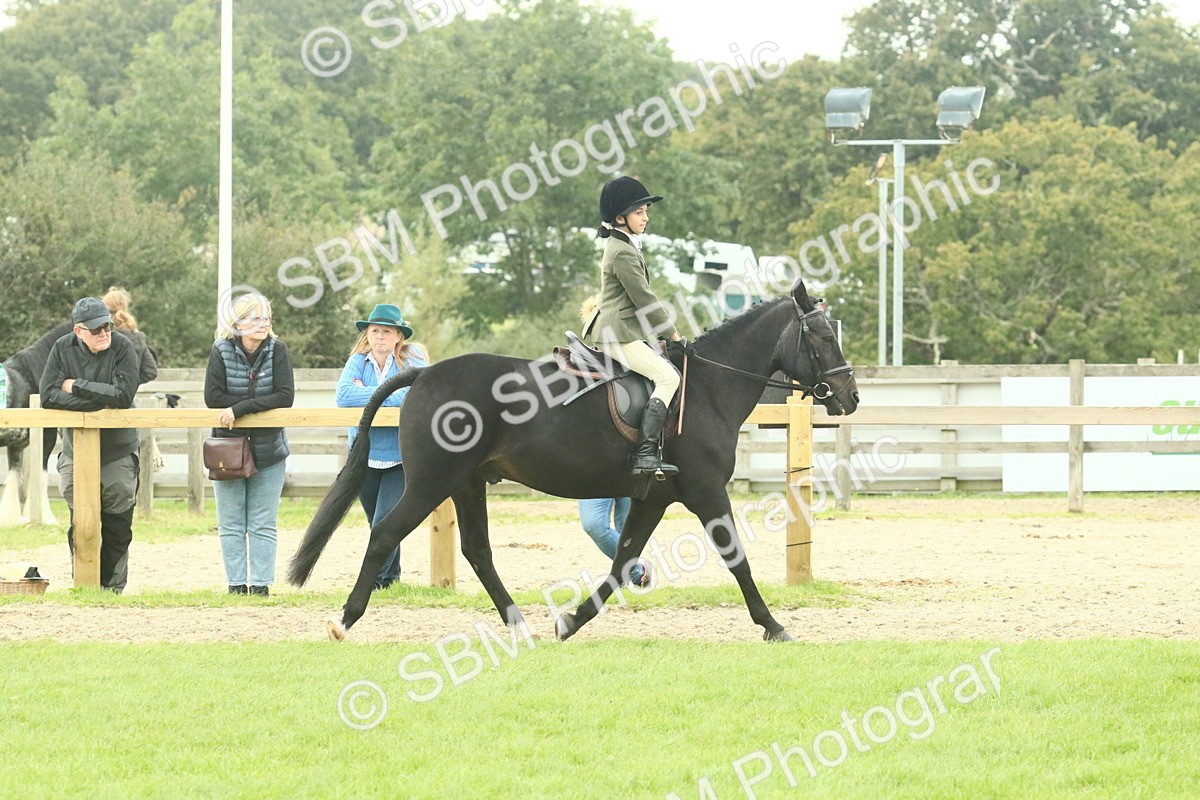 SBM_73978 - S 61 - Show Pony & Show Hunter Pony Ridden