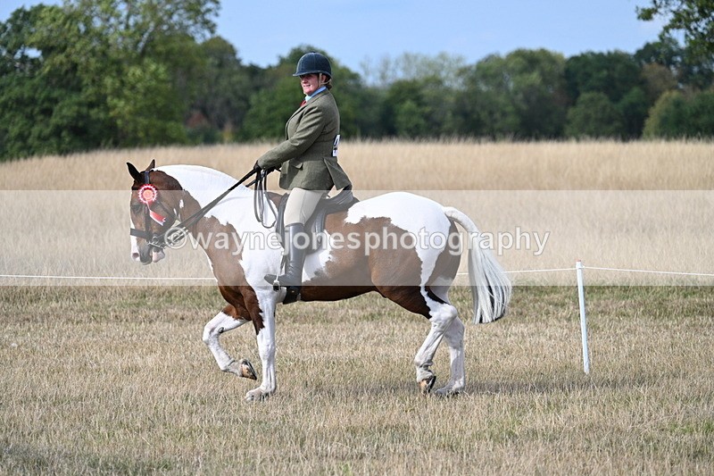 WJ7_7807 - Ridden Championship