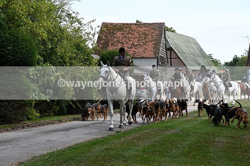 WJ6_3913 - Berks & Bucks - The Old farmhouse - Hound Exercise 20-08-25