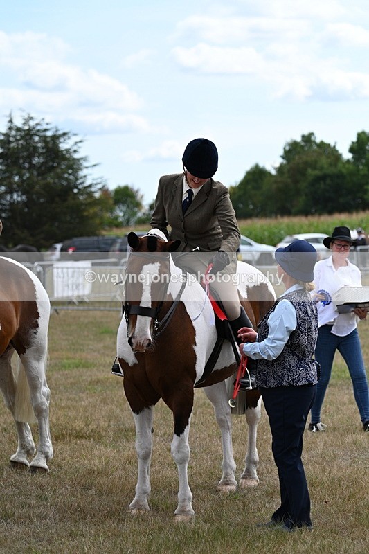 WJ7_5512 - Class 12 Ridden Cob