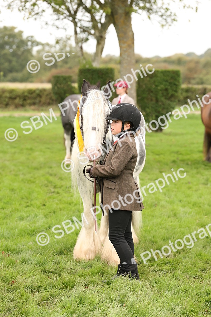 SBM_59372 - S57 - Traditional Cob In Hand