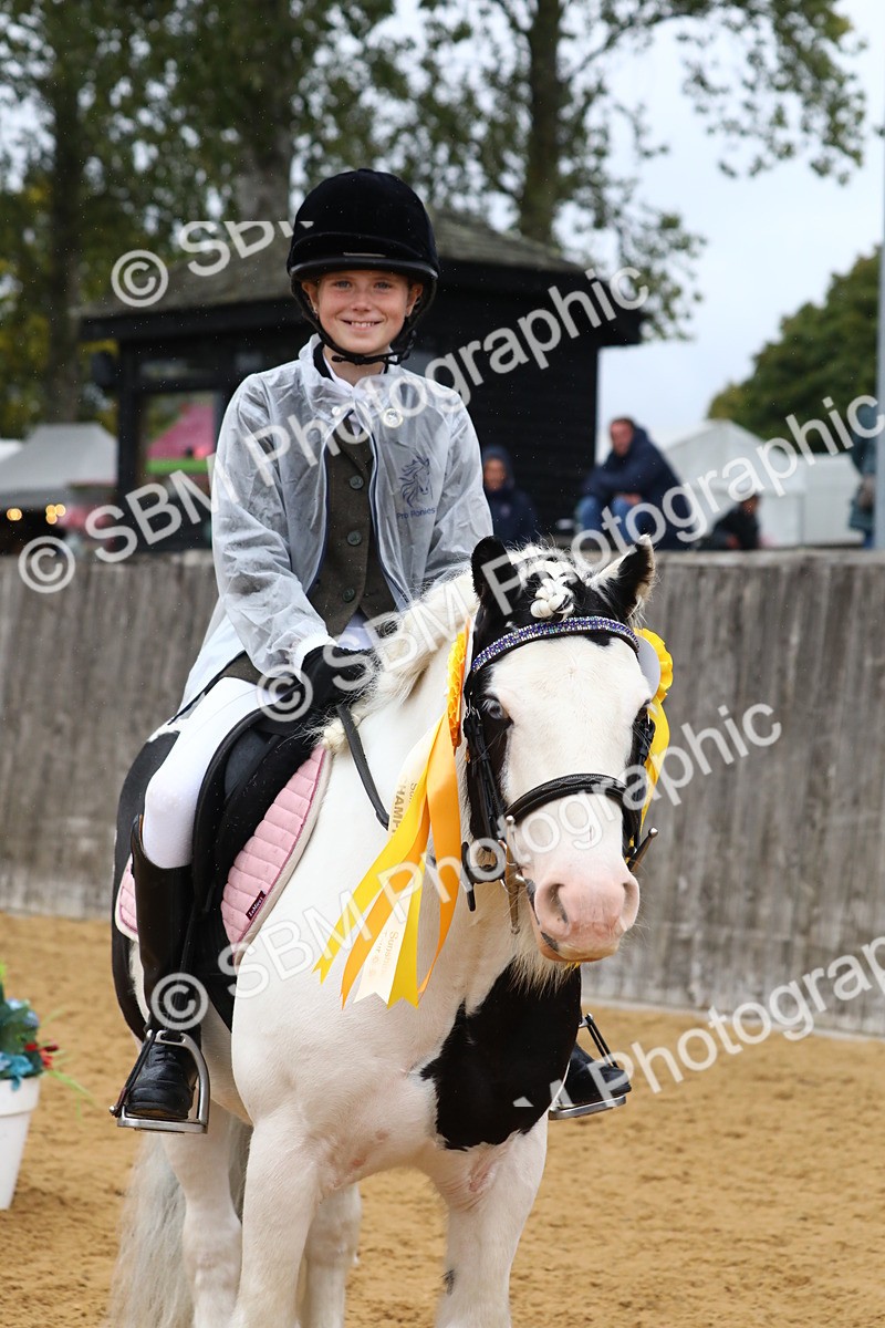 SBM_72117 - J3b - Mini Tour Junior Pony 40cm Championship