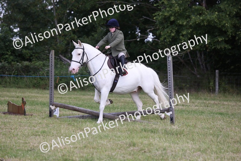 20260614-0772 - Class 20 - Beginners Working Hunter Pony