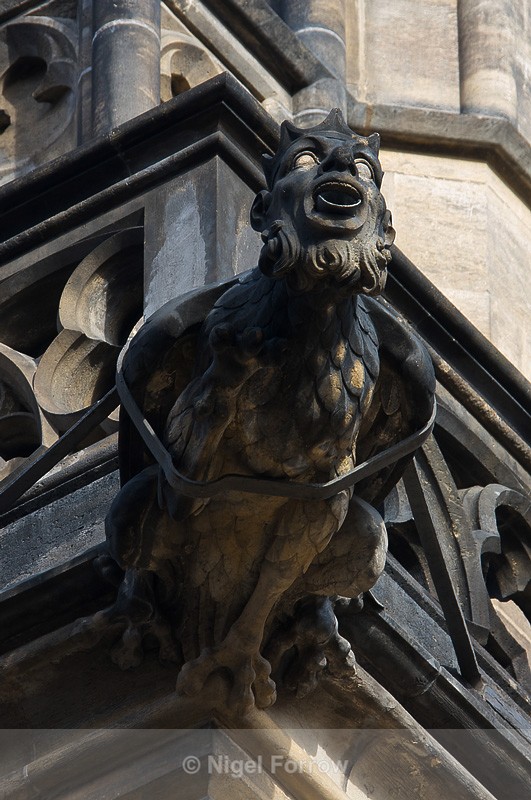Gargoyle, St. Vitus's Cathedral, Prague - Prague, Czech Republic