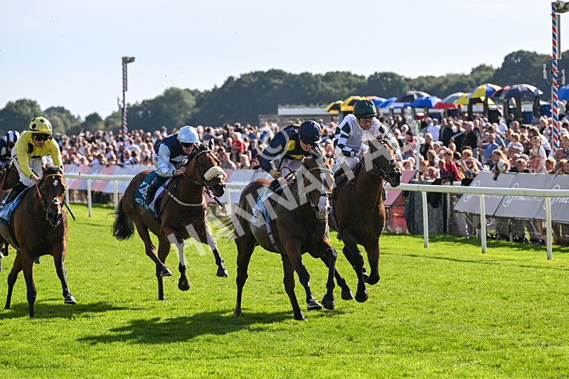 060926-Race 5-Extremely Zain-8396 - Race 5 3.50pm Starman At Tally Ho Stud Garrowby Stakes