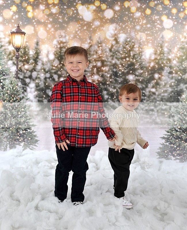 DSC_7482 - shannon ram