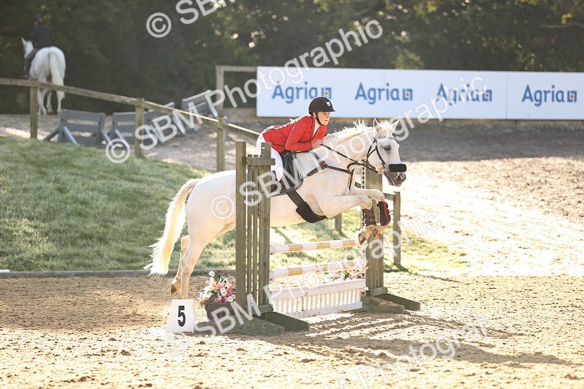 SBM_34682 - J38 - Senior 80cm Championship