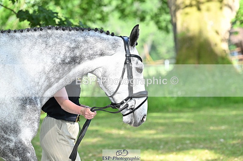 250521A-170111-01473 - C-278-Harriet.Wright-MBF.UP.NORTH