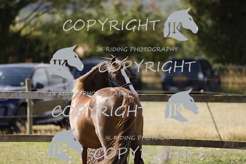 _R6A0787 - GENERAL PHOTOS