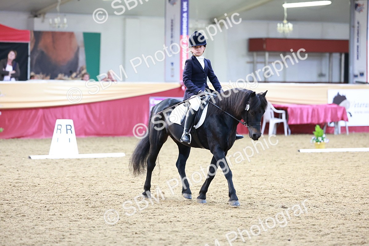 SBM_09196 - Class 61 - Dressage to Music