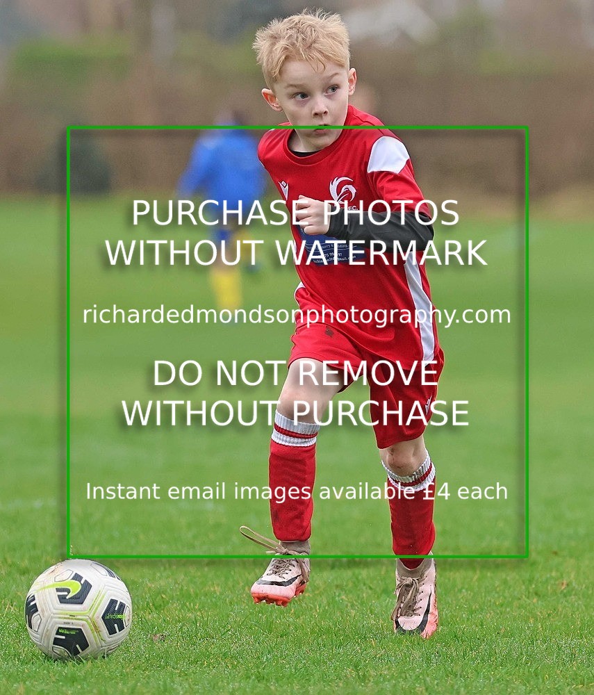 533A0793 - Ibis Under 7's (28/2/26)