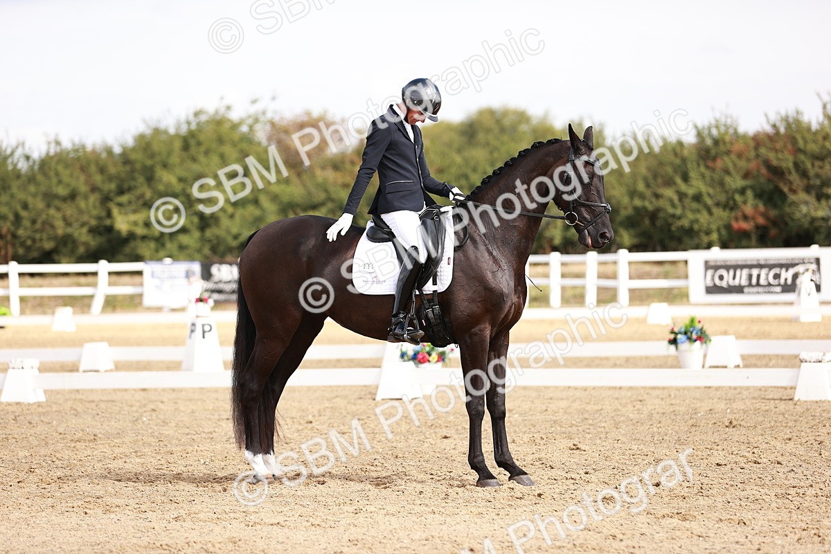 SBM_017616 - Class 11 - Advanced Medium 6