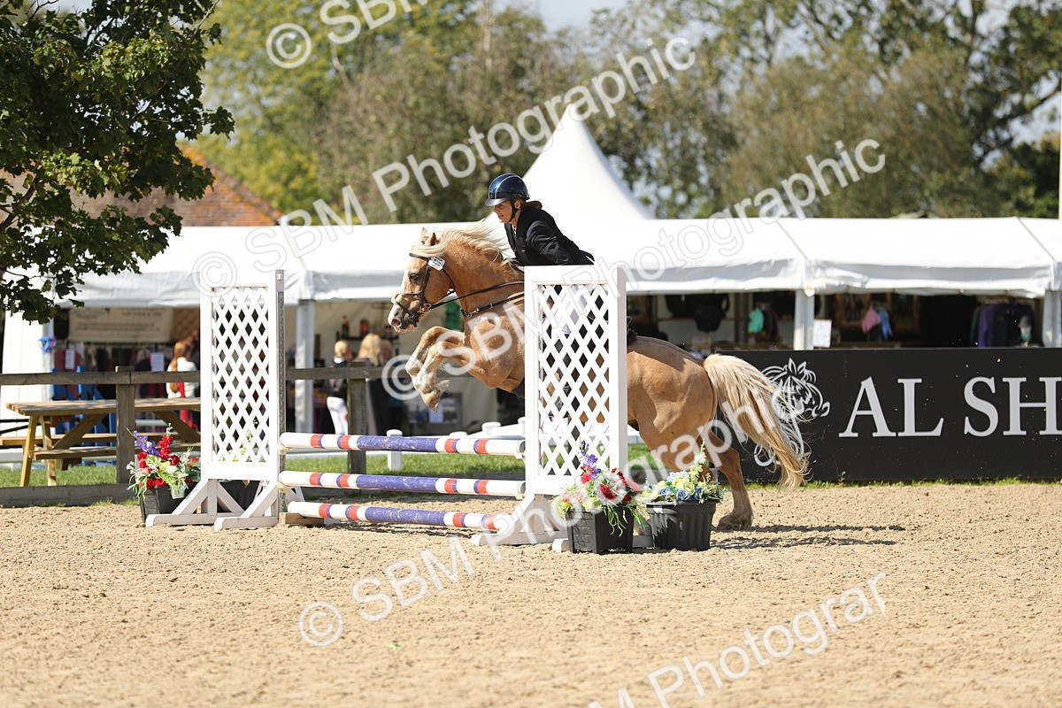 SBM_05609 - J35 - Veteran Rider 60cm