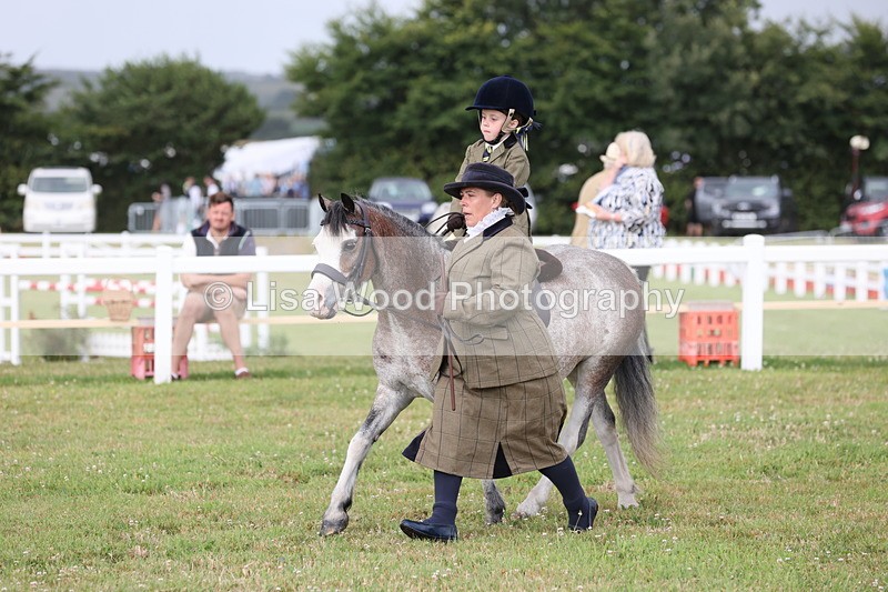 JPP_0348 - Class 14: Cornish Combination Leading Rein