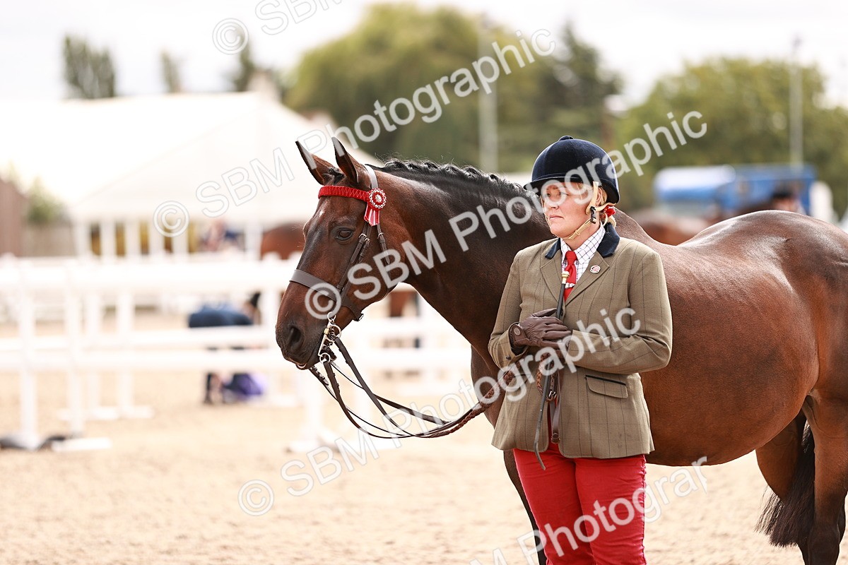 SBM_16332 - Class 413 - Best Condition - Adult