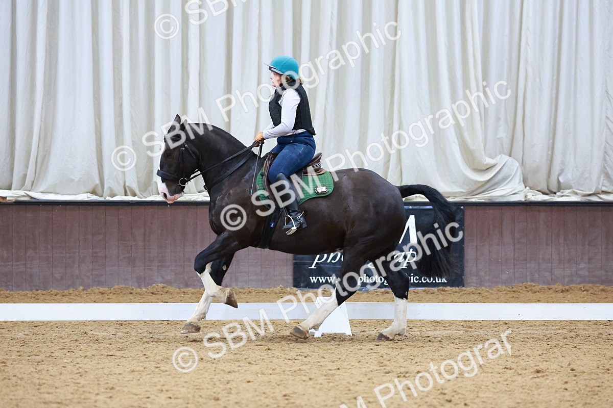 1I0A0910 - Class 3-6 - Prelim 1-Novice 2