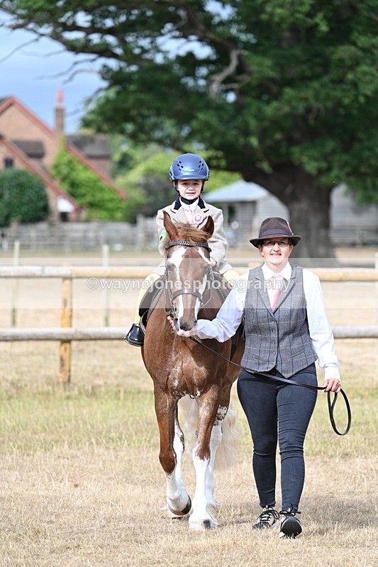 WJ7_6276 - Class 1 Lead Rein Pony