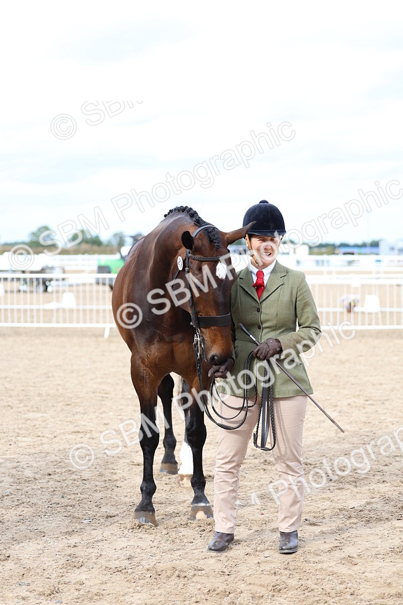 SBM_05764 - Class 28 - IH Veteran Horse
