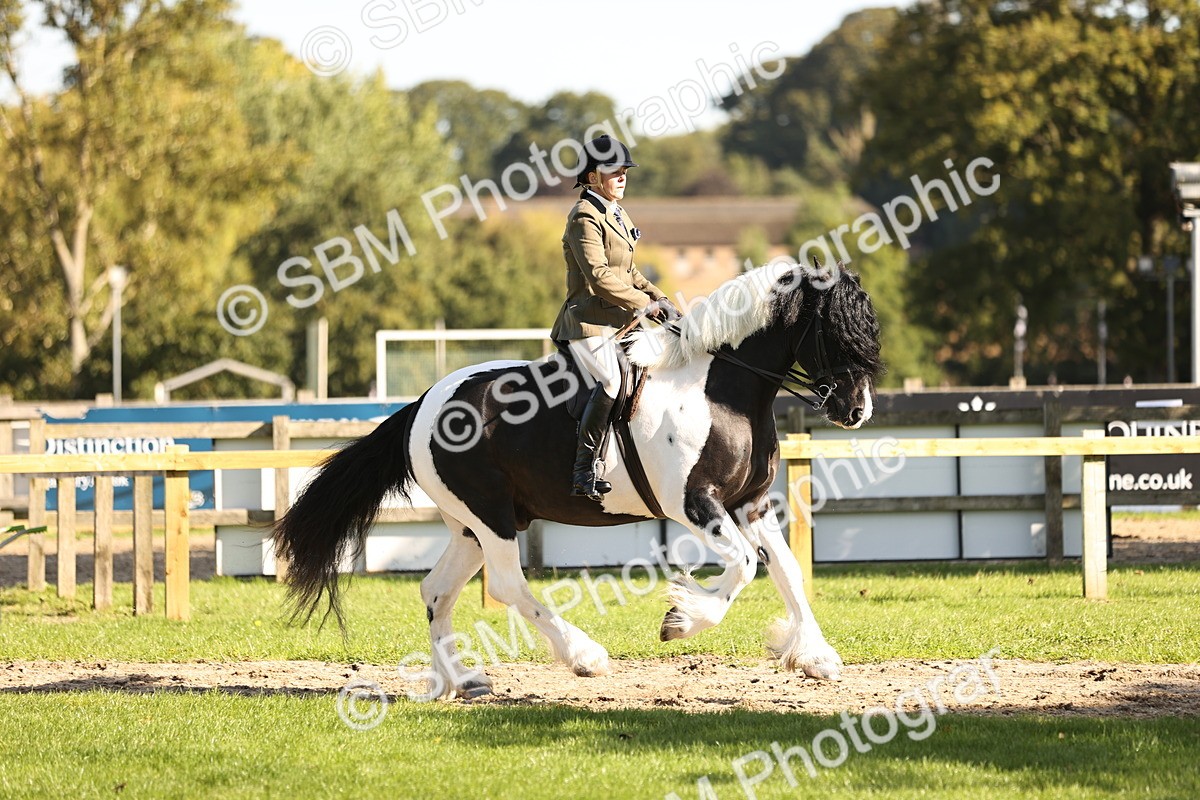 SBM_16933 - S2 - TSR Ridden Pony Showing