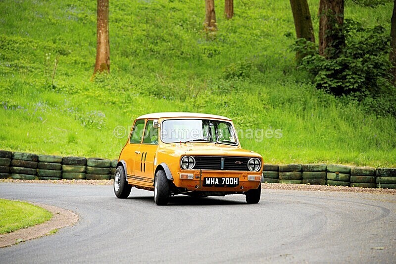 _56A1788 - MINI FESTIVAL 22ND May 2021