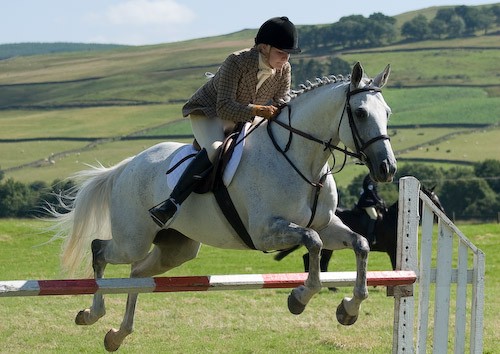 111 - Moniaive Horse Show 2008