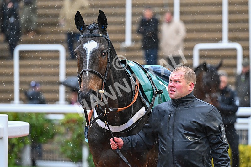 141125-Race 4-Jonbon-0254 - Race 4