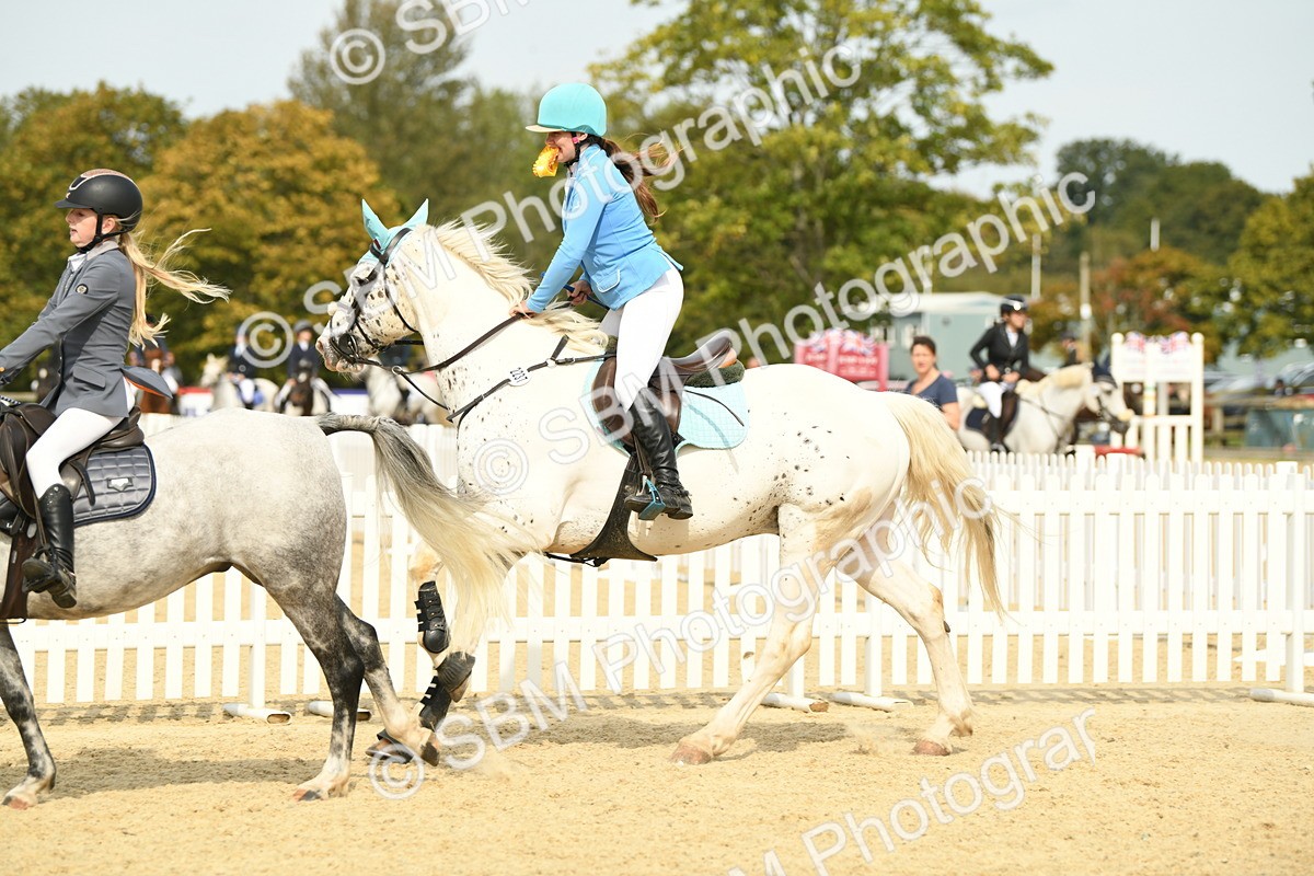 SBM_65331 - J48 - Pairs Jumping Open 70cm & 85cm