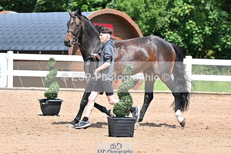 240718A-105314-01744 - Trot Up 1pm to 2pm
